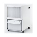 Deumidificatore di Wood Wood's SW42FW