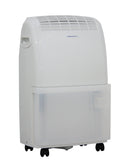 Kibernetics disparaît M20