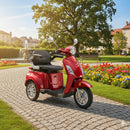 Luxxon Seniorenmobil E3800 20km/h, rot