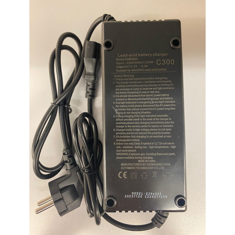Karcher Ersatzteil Ladegerät DZM6020 für E3800 eckiger Stecker