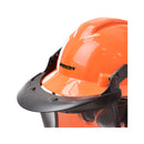 Hecht Gartenmaschinen 900100 Forstschutzhelm