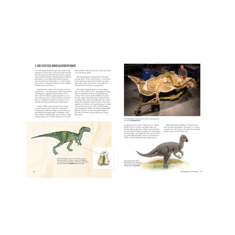 XXL Book per bambini per bambini "Dinosaurs"