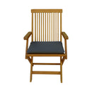 CONTINI Gartenmöbel Gartenstuhl klappbar Kissen anthrazit 2er-Set Eucalyptus