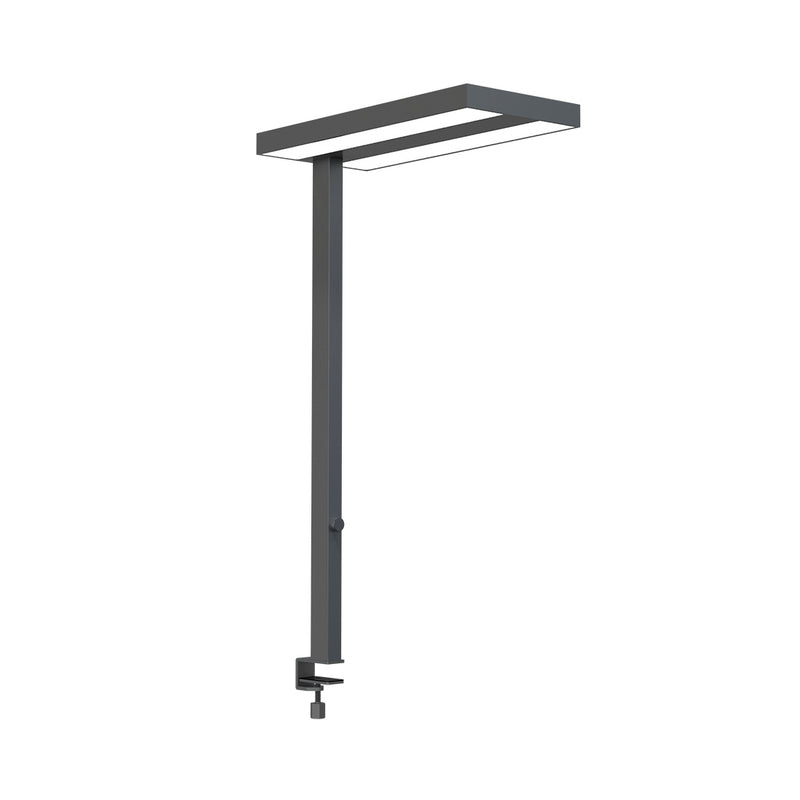 Continio Office Furniture LED LED Office Light con morsetto da tavolo Accumibile antracite