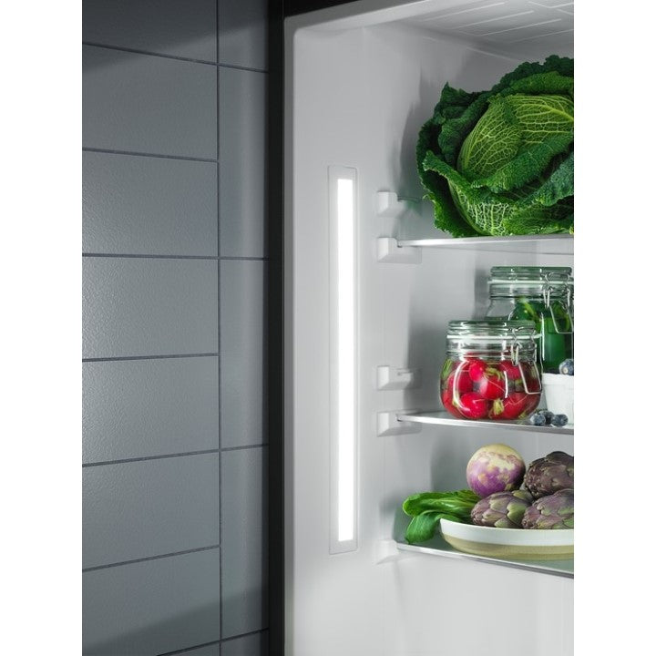 Electrolux refrigerator ST281F, 244 liters