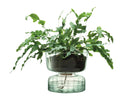 LSA self -ascertained pot canopy h22cm - recy. Optik LSACQ16