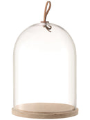 LSA Platte Ivalo Hood Hoods made of ash Ø22cm - clear LSAIV02