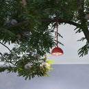 Sompex Tischlampe Hook grün