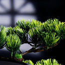 Spa Solutions Brunnen mit LED Ring und Nebeleffekt