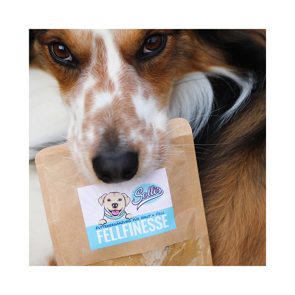 Sollis Dog Feed Solli's Fe Dog Fur Finish - Powder for Skin & Fur 100g