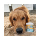 Sollis dog care & hygiene Solli`s pm dog pure love - 3 in 1 natural nursing balm
