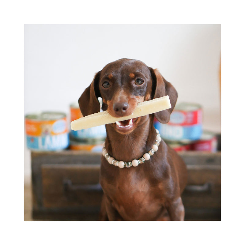 Sollis Dog Feed Solli Snack Dog Himalaya Cheese Caustique 5x Cave Bar XS
