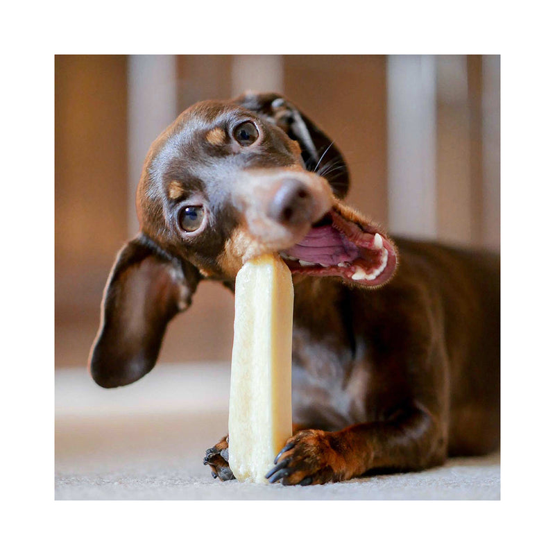 Sollis Dog Feed Solli Snack Dog Himalaya Cheese Caustique 5x Cave Bar XS