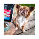 Sollis dog feed Solli`s tf dog angus beef minis 2kg