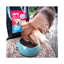 Sollis dog feed Solli`s tf dog angus beef minis 2kg