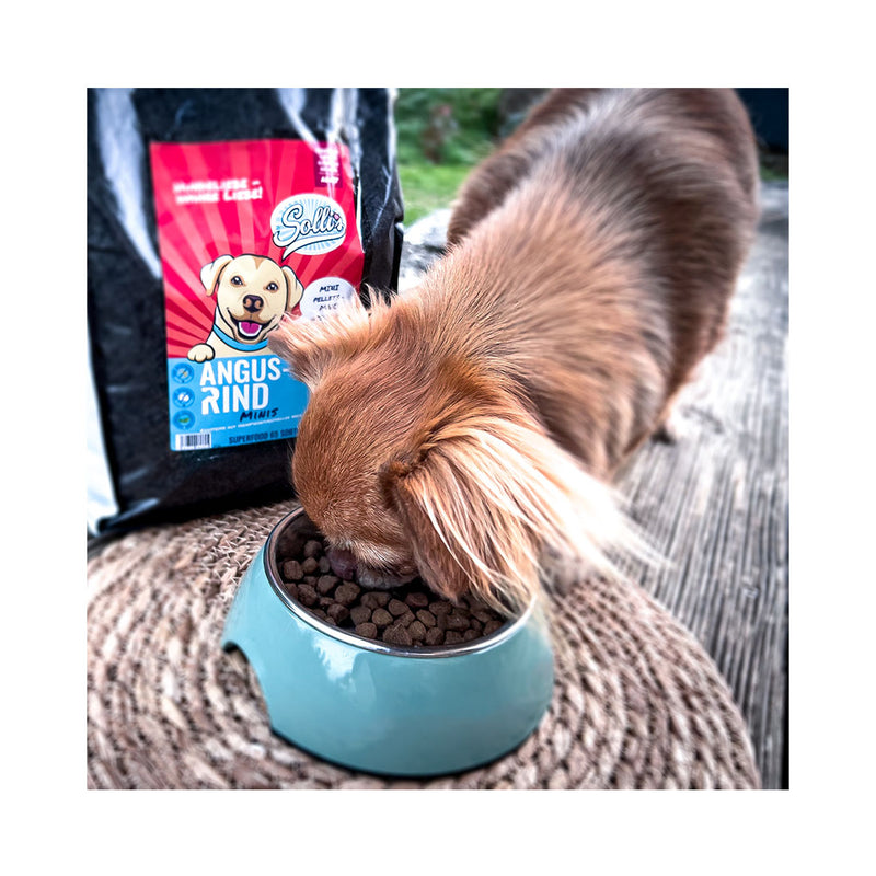 Sollis Dog Feed Solli TF Dog Angus Minis 6kg