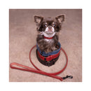 Feningo collare in pelle Denver Brown L