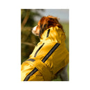 Flamingo Dog on the Way Impercoat Ciro giallo riflettendo 45 cm