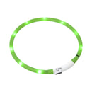 Flamingo Dog on the Way Luminous Band Nera Visio Green