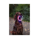 Flamingo Dog on the Go Light Neck Band Nera Visio Blue