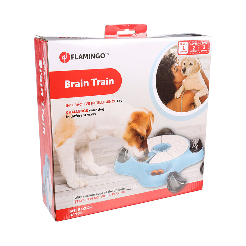 Flamingo Hund Training Brain Train Sherlock Level 1