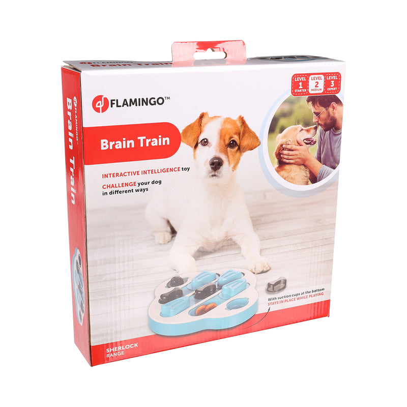 Flamingo Hund Training Brain Train Sherlock Level 2
