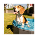 Flamingo Dog a casa piscina schizzo intorno a Ø 80 cm