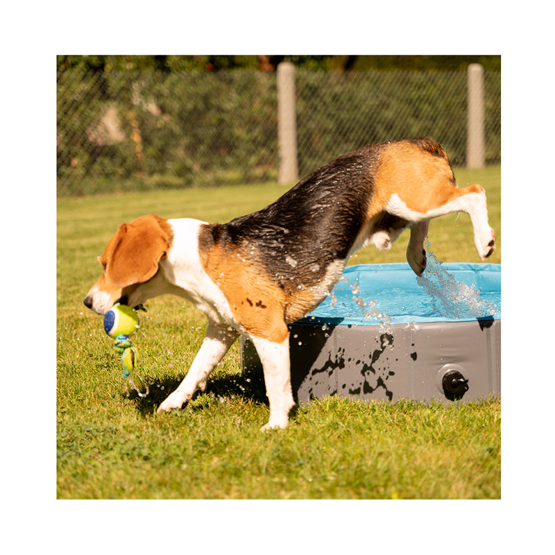 Flamingo Dog a casa piscina schizzo intorno a Ø 120 cm
