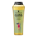 GLISS KUR SHAMPOO Nursing Hampoo Summer Repair Limited Edition 250ml