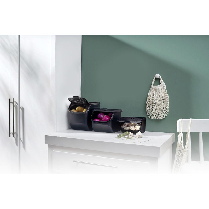 Tupperware Storage Box Onion Smart