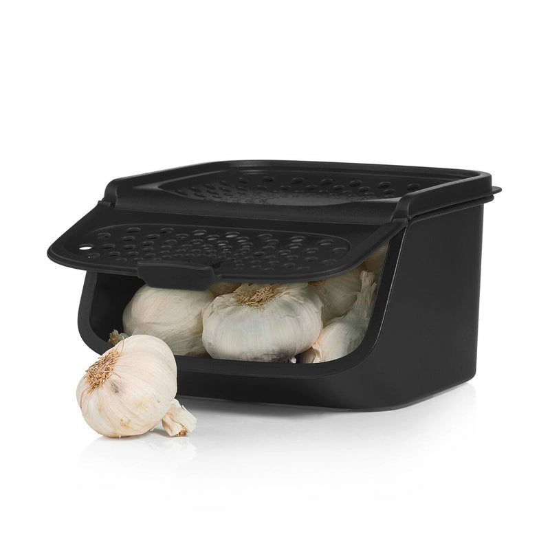 Tupperware Storage Box Garlic Smart