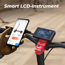 isinwheel E-Scooter T8