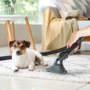 Domo Reinigungsgerät DO250SC