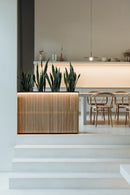 Spa solutions raised bed raised bed planting pot with LED Montecchio