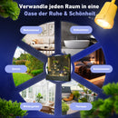 Spa Solutions Aqualuxe Wasserbrunnen High End Roma Indoor & Outdoor