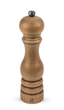 Peugeot Salzmühle Paris Antique 22 cm