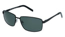 INVU Sonnenbrille Polarisiert mit Etui Roadster B1607G