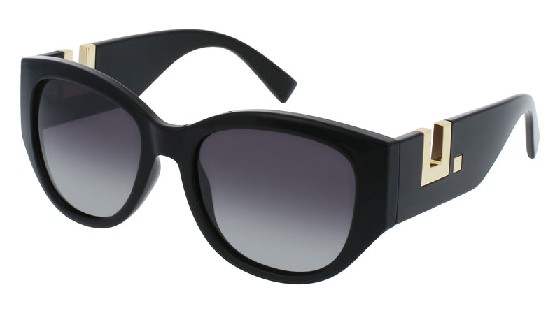 INVU Sonnenbrille Polarisiert mit Etui Ryder IB22406A