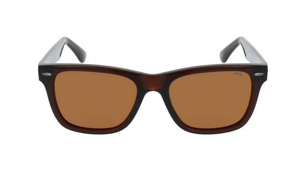 INVU Sonnenbrille Polarisiert mit Etui Beat IB22450B