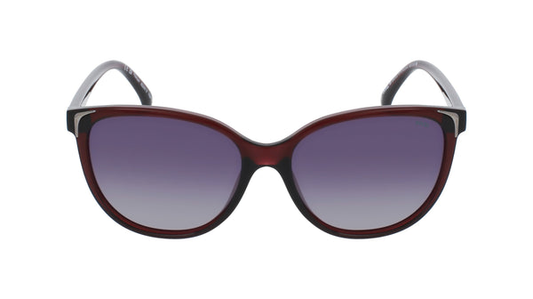INVU Sonnenbrille Polarisiert mit Etui Jacky IB22451B