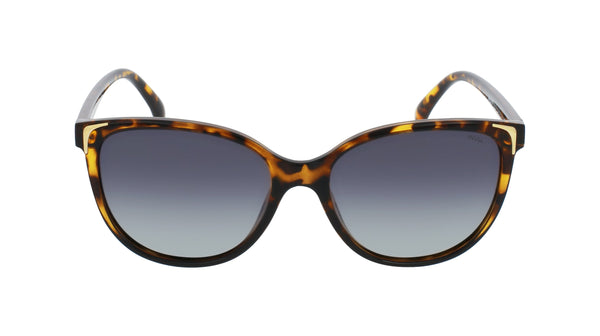 INVU Sonnenbrille Polarisiert mit Etui Jacky IB22451C