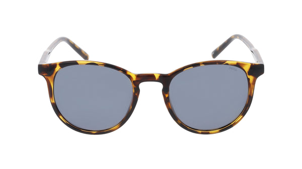 INVU Sonnenbrille Polarisiert mit Etui Brandon IB22529B