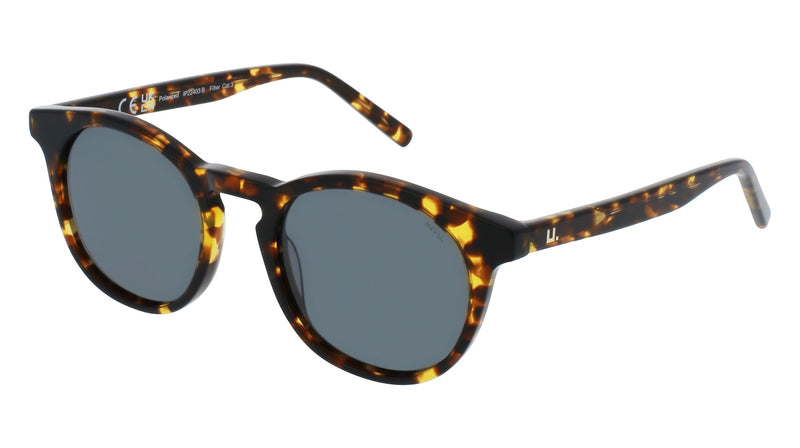 INVU Sonnenbrille Polarisiert in Premium-Qualität mit Etui Kroc IP22403B