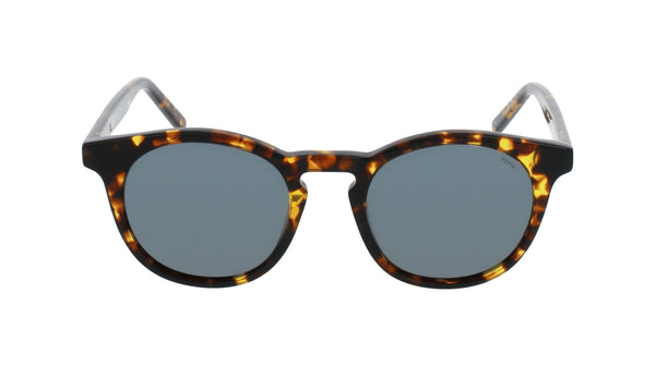 INVU Sonnenbrille Polarisiert in Premium-Qualität mit Etui Kroc IP22403B