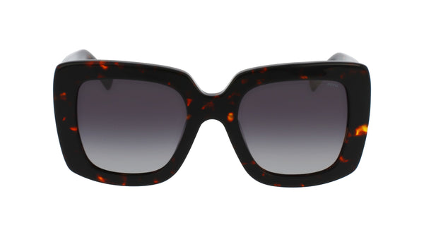 INVU Sonnenbrille Polarisiert in Premium-Qualität mit Etui Arnault IP22408C
