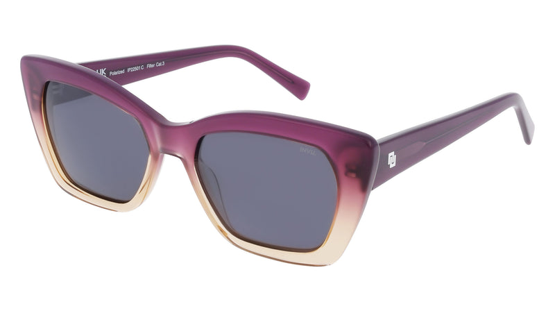 INVU Sonnenbrille Polarisiert in Premium-Qualität mit Etui Scott IP22501C