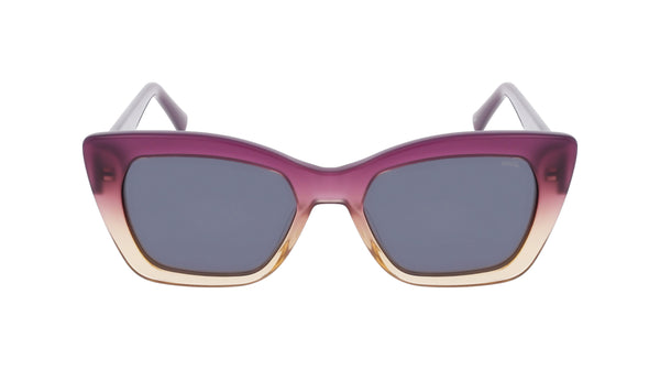 INVU Sonnenbrille Polarisiert in Premium-Qualität mit Etui Scott IP22501C