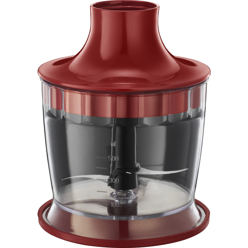 RUSSELL HOBBS Stabmixer 24700-56 Desire 3in1