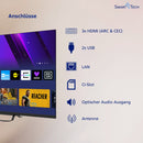 Smart Tech TV 43FV02V