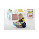 Fisher-Price Baby Toy Learning fun